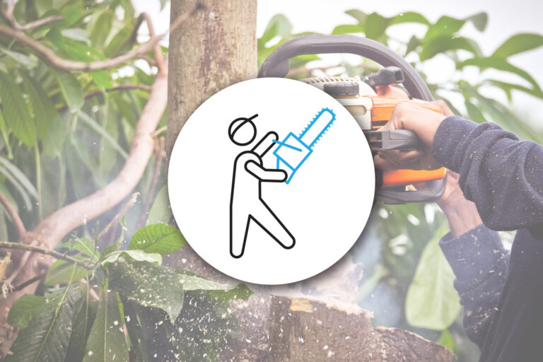 Tree-Service